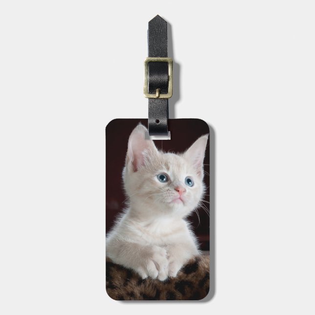 Étiquette À Bagage Curieux chaton (Devant Vertical)