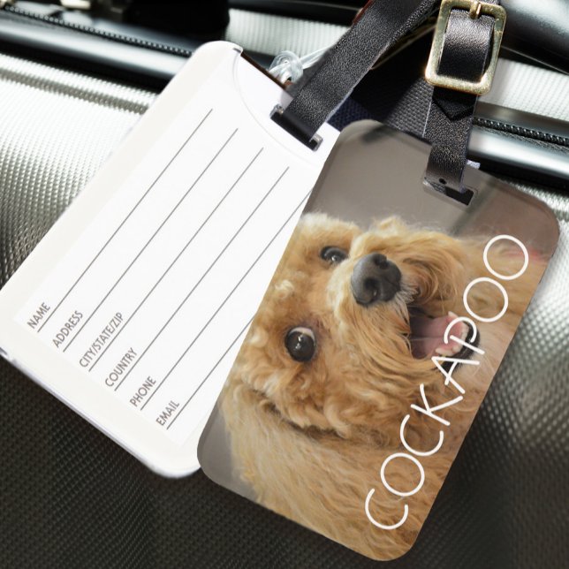 Étiquette À Bagage Cute Cockapoo Chien Animaux Animaux Amoureux de le (Cute Cockapoo Dog Pet Animal Dog Lover Travel Luggage Tag)