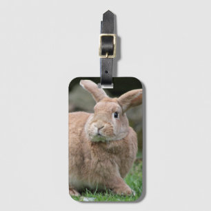 Étiquette À Bagage Cute lapin de gingembre avec de grandes oreilles