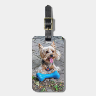 Étiquette À Bagage Cute Terrier
