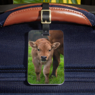 Étiquette À Bagage Cutest Baby Animals   Cow & Calf