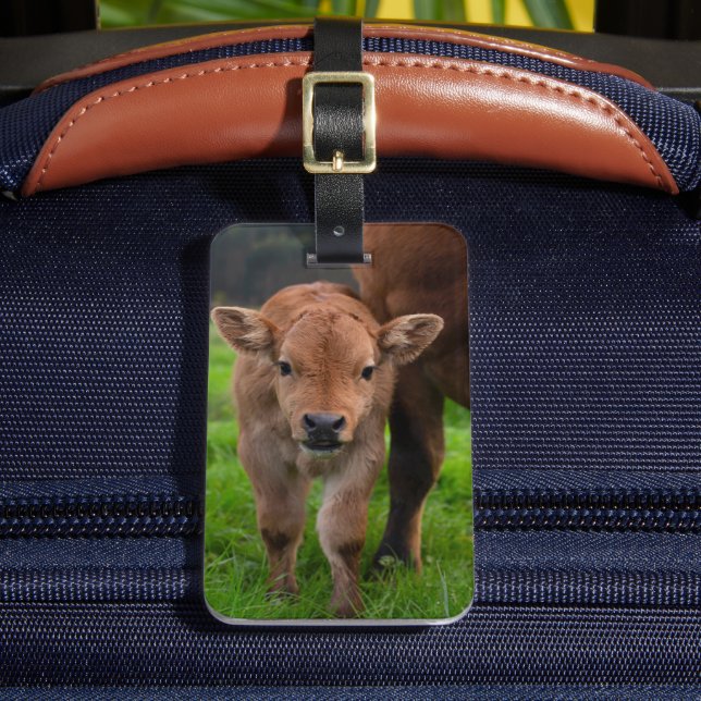 Étiquette À Bagage Cutest Baby Animals | Cow & Calf (Insitu Rectoal 2)