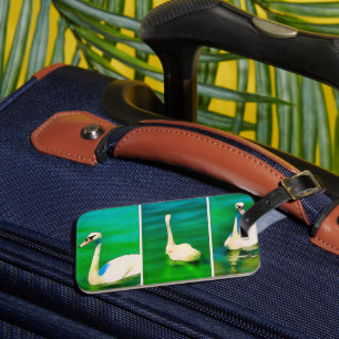 Étiquette À Bagage Cygnes au lac Balaton – triptyque