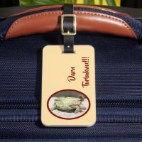 "DARN TURBULENCE !"/tortue sur son dos