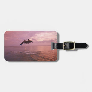 Étiquette À Bagage Dauphins de Bottlenosed sautant au coucher du