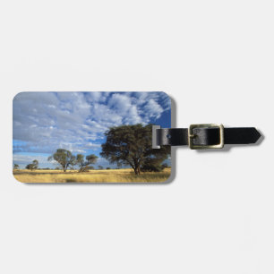 Étiquette À Bagage Désert du Kalahari, Transfrontière de Kgalagadi