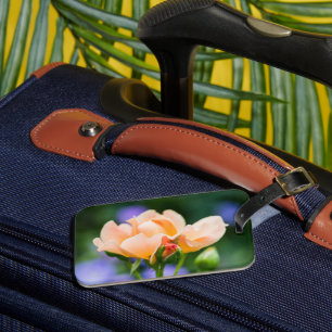 Étiquette À Bagage désir