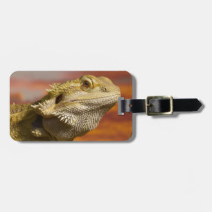 Étiquette À Bagage Dragon barbu (Pogona Vitticeps) sur la branche,