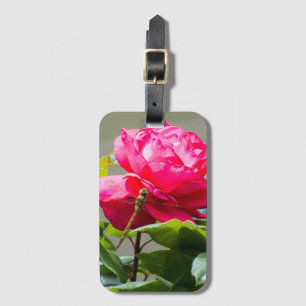 Étiquette À Bagage Dragonfly assise sur la fleur de rose rouge