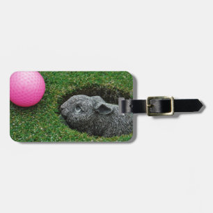 ÉTIQUETTE À BAGAGE DSCF0652.JPG