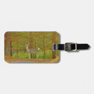 ÉTIQUETTE À BAGAGE DSCF4041.JPG