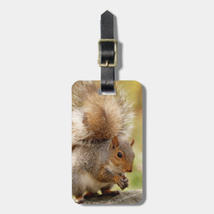 Étiquette À Bagage Écureuil pelucheux mignon