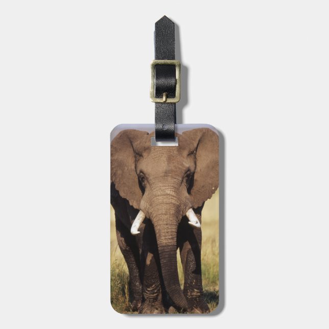 Étiquette À Bagage Éléphant de savane d'Afrique (Devant Vertical)