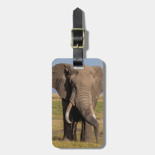 Étiquette À Bagage Éléphant en recherche