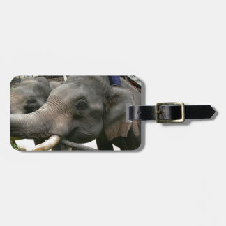 Étiquette À Bagage Éléphants asiatiques de alimentation bananes en