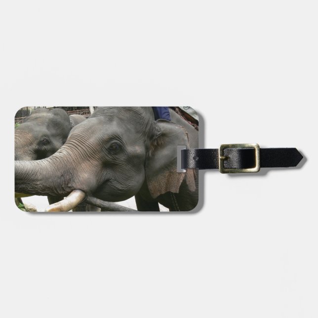 Étiquette À Bagage Éléphants asiatiques de alimentation bananes en (Devant horizontal)