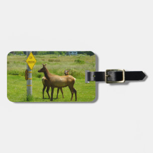 Étiquette À Bagage Elk Crossing California Wildlife Photography