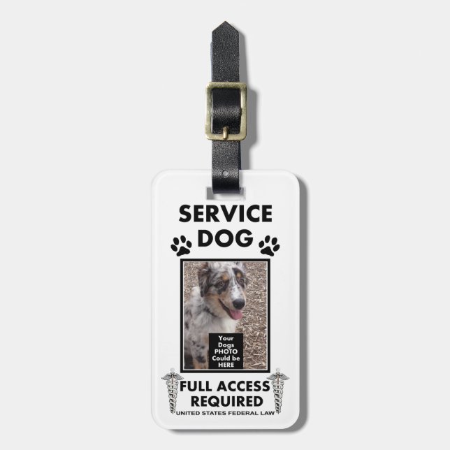 Étiquette À Bagage Entretenez la carte d'identité à photo de chien (Devant Vertical)