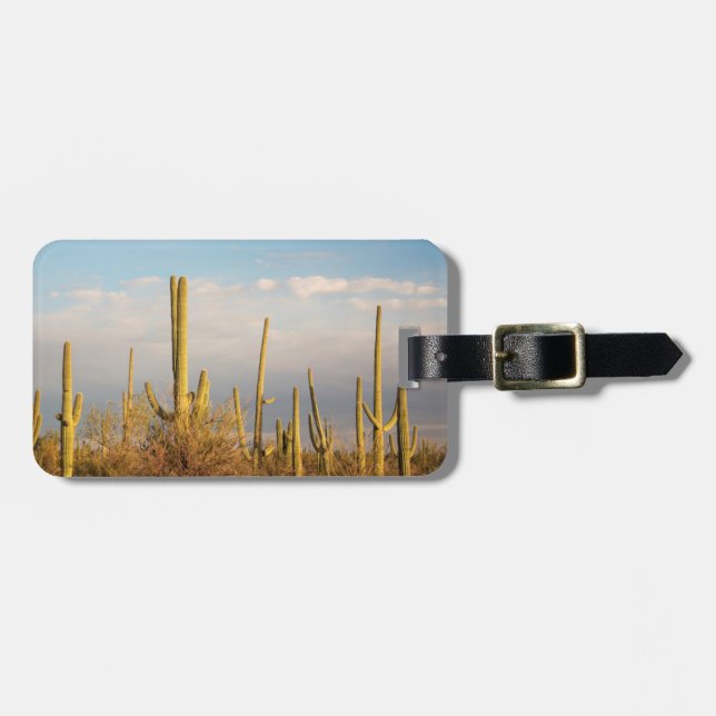 Étiquette À Bagage États-Unis, Arizona, Saguaro National Park, Saguar (Devant horizontal)
