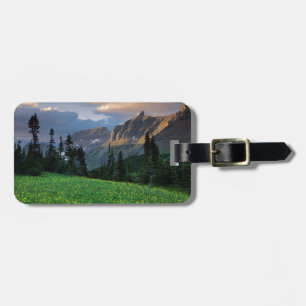 Étiquette À Bagage États-Unis, Montana, Glacier National Park, Logan