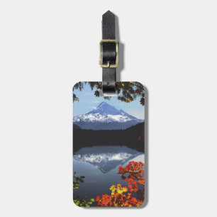 Étiquette À Bagage États-Unis, Oregon, Forêt nationale du mont Hood.
