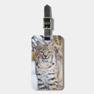 Étiquette À Bagage États-Unis, Wyoming, Portrait de Lynx roux