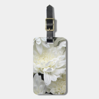 Étiquette À Bagage Étiquette de bagage avec le bracelet en cuir