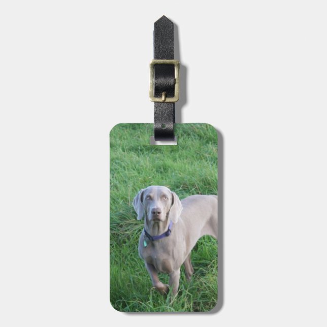 Étiquette À Bagage Étiquette de bagage d'amants de Weimaraner (Devant Vertical)