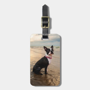 Étiquette À Bagage Étiquette de bagage de Boston Terrier