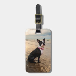 Étiquette À Bagage Étiquette de bagage de Boston Terrier