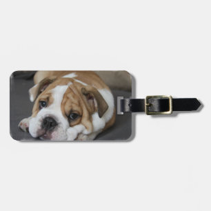 Étiquette À Bagage Étiquette de bagage de bouledogue de sommeil