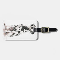 Étiquette de bagage de chien du feu