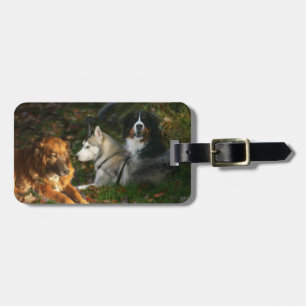 Étiquette À Bagage Étiquette de bagage de chiens