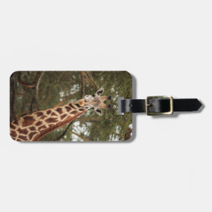 Étiquette À Bagage Étiquette de bagage de girafe