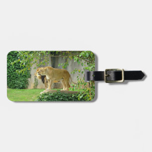 Étiquette À Bagage Étiquette de bagage de lionne de lion