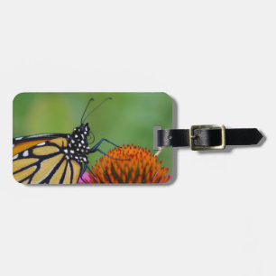 Étiquette À Bagage Étiquette de bagage de papillon de monarque