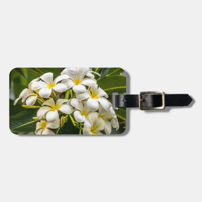 Étiquette À Bagage Étiquette de bagage de Plumeria de l'île exotique (Devant horizontal)