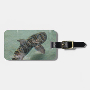 Étiquette À Bagage Étiquette de bagage de requin de tigre