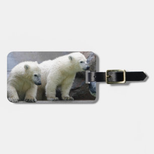 Étiquette À Bagage Étiquette de bagage d'ours blanc avec le bracelet
