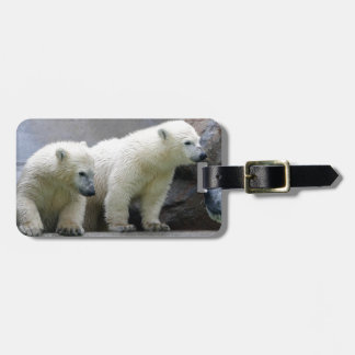 Étiquette À Bagage Étiquette de bagage d'ours blanc avec le bracelet