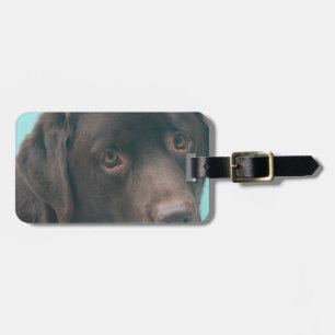 Étiquette À Bagage Étiquette de bagage pour chien labrador chocolat