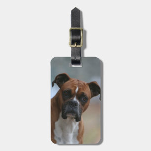 Étiquette À Bagage Étiquette de bourse/bagage de chien de boxeur