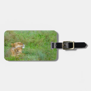 Étiquette À Bagage Étiquette de lionne de l'amour de mère et de