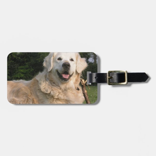 Étiquette À Bagage Étiquette douce de bagage de golden retriever (Devant horizontal)