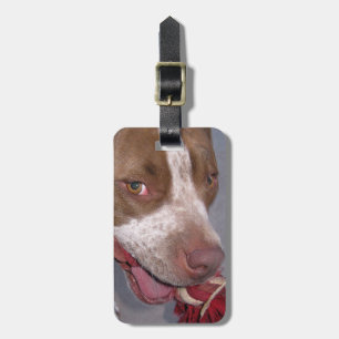 Étiquette À Bagage Étiquette effrontée de bagage de Pitbull