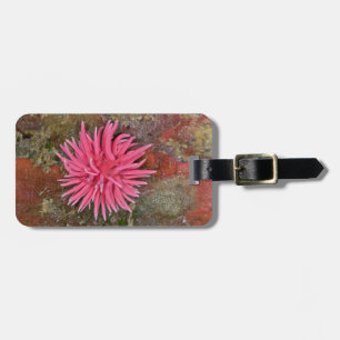 Étiquette À Bagage Étiquette rose de bagage de Hopkins Nudibranch