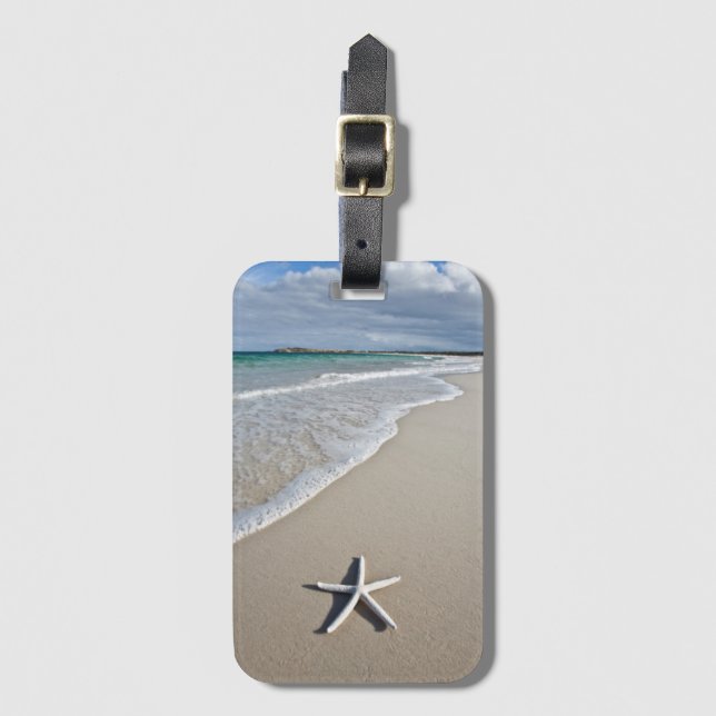 Étiquette À Bagage Étoiles de mer sur une plage à distance (Devant Vertical)