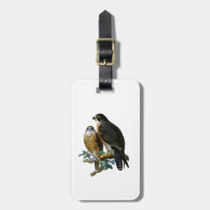 Étiquette À Bagage Falcons stylisés vintages sur la branche