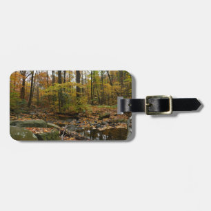 Étiquette À Bagage Fall Creek avec réflexion à Laurel Hill Park