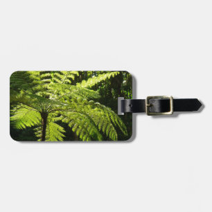 Étiquette À Bagage Ferne arborescente dans la forêt tropicale